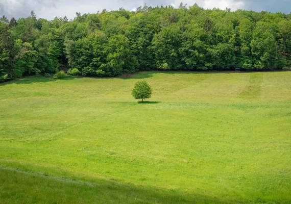 Tapusuz 2B Arazisi Nedir? Bilmeniz Gereken Her Şey