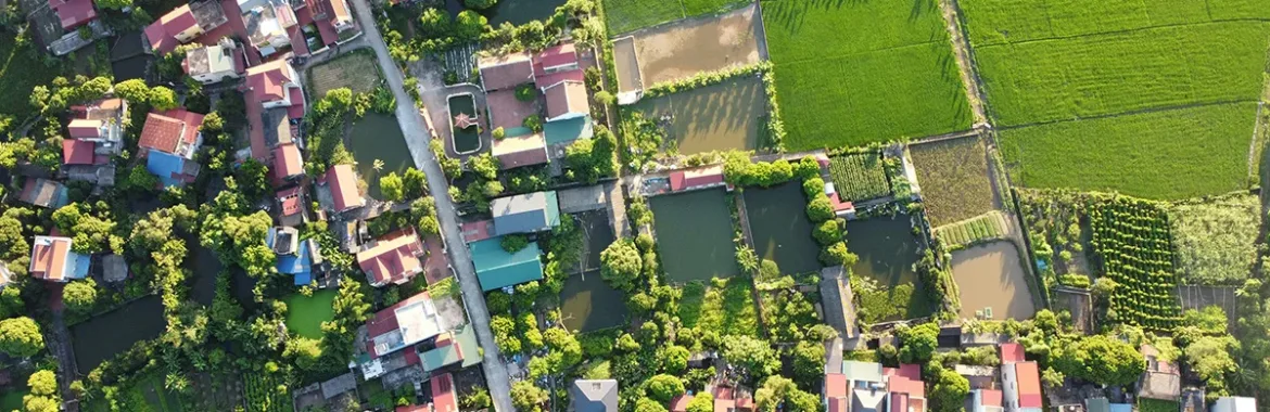 Arsa ve Tarla Arasındaki Farklar: 2026 Kapsamlı Yatırımcı Rehberi