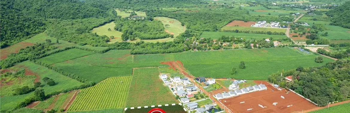 Hisseli Tapu Nedir? Satış ve Paylaşım Süreci Nasıl İşler?