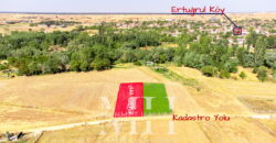 Kırklareli Lüleburgaz Ertuğrul Köyde 880 m2 Bağ Bahçe Kırklareli Lüleburgaz Ertuğrul Köyde 880 m2 Bağ Bahçe