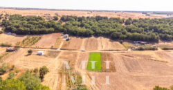 Kırklareli Lüleburgaz Ertuğrul Köyde 880 m2 Bağ Bahçe Kırklareli Lüleburgaz Ertuğrul Köyde 880 m2 Bağ Bahçe