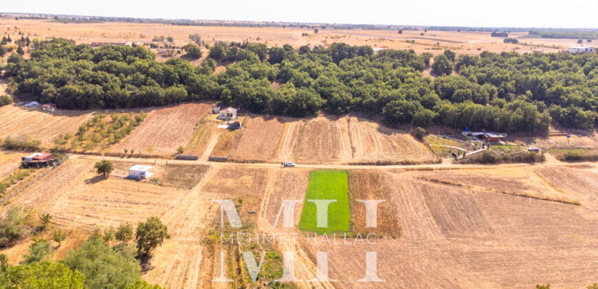 Kırklareli Lüleburgaz Ertuğrul Köyde 880 m2 Bağ Bahçe