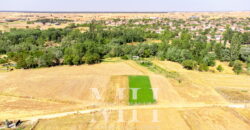 Kırklareli Lüleburgaz Ertuğrul Köyde 880 m2 Bağ Bahçe Kırklareli Lüleburgaz Ertuğrul Köyde 880 m2 Bağ Bahçe