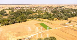 Kırklareli Lüleburgaz Ertuğrul Köyde 880 m2 Bağ Bahçe Kırklareli Lüleburgaz Ertuğrul Köyde 880 m2 Bağ Bahçe