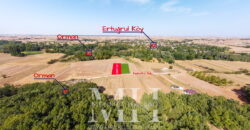 Kırklareli Lüleburgaz Ertuğrul Köyde 880 m2 Bağ Bahçe Kırklareli Lüleburgaz Ertuğrul Köyde 880 m2 Bağ Bahçe
