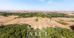 Kırklareli Lüleburgaz Ertuğrul Köyde 880 m2 Bağ Bahçe Kırklareli Lüleburgaz Ertuğrul Köyde 880 m2 Bağ Bahçe