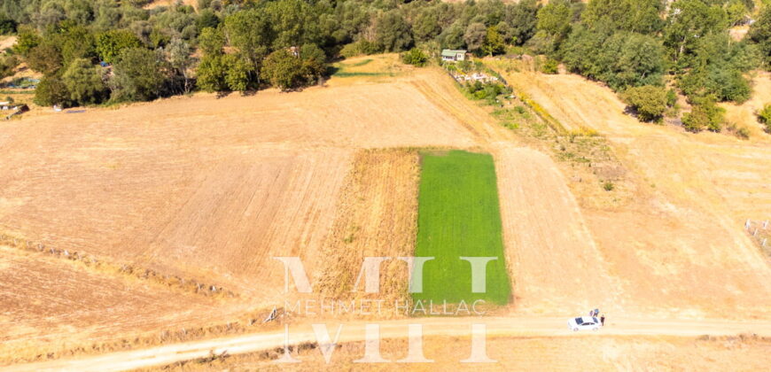 Kırklareli Lüleburgaz Ertuğrul Köyde 880 m2 Bağ Bahçe