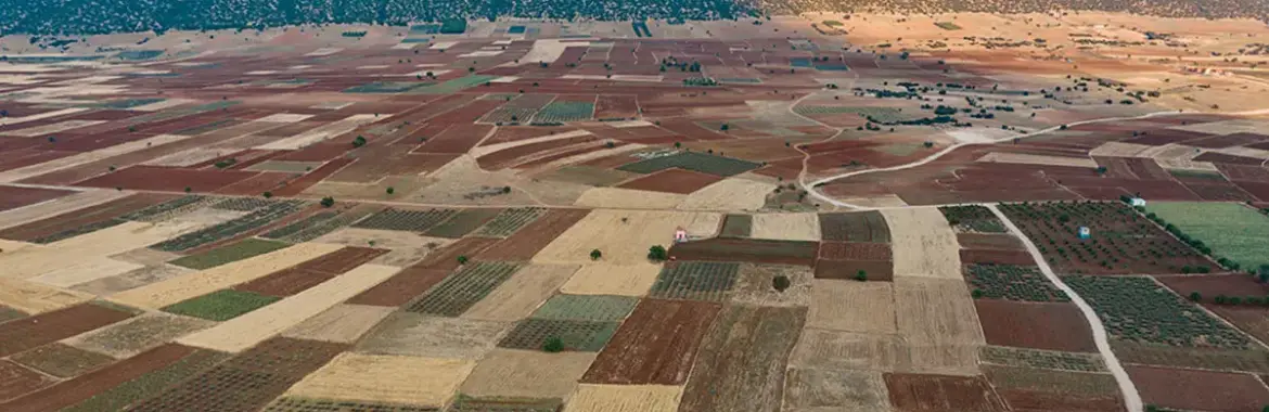 Marjinal Tarım Arazisi Nedir?