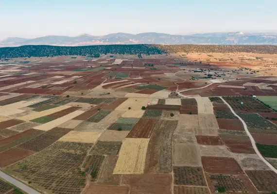 Marjinal Tarım Arazisi Nedir?