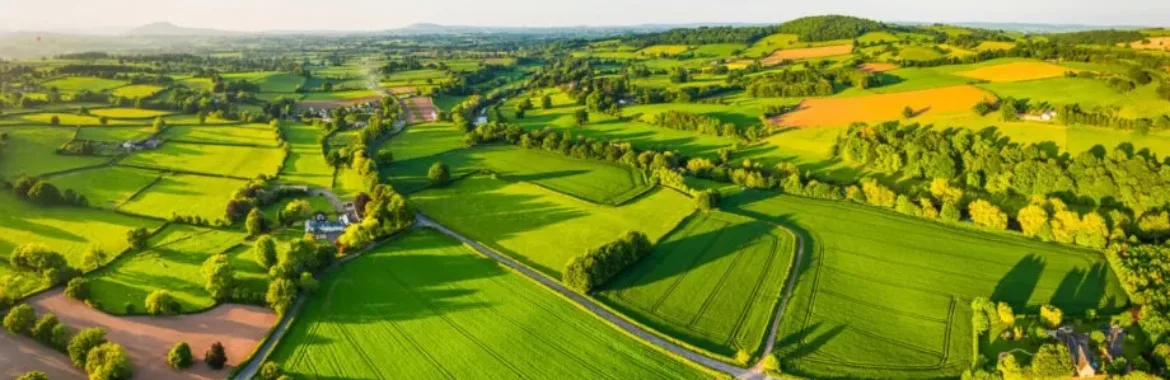 5000 lik Plan Nedir?