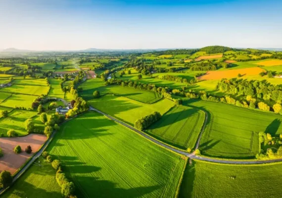 5000 lik Plan Nedir?