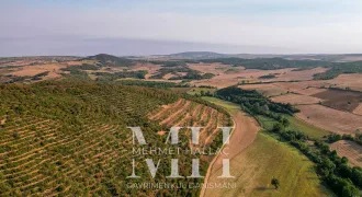 Tekirdağ Süleymanpaşa İnecik Mah. 21.930 m2 Tarla