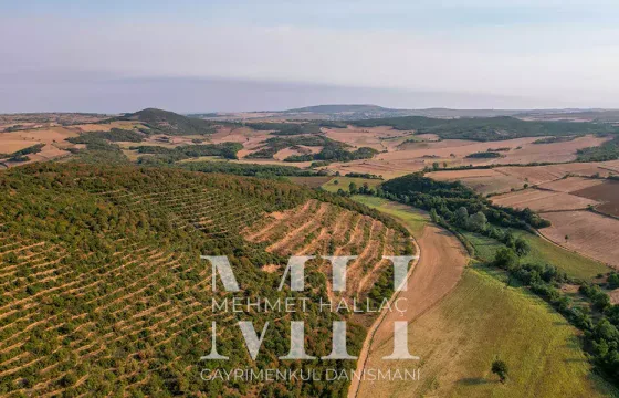 Tekirdağ Süleymanpaşa İnecik Mah. 21.930 m2 Tarla