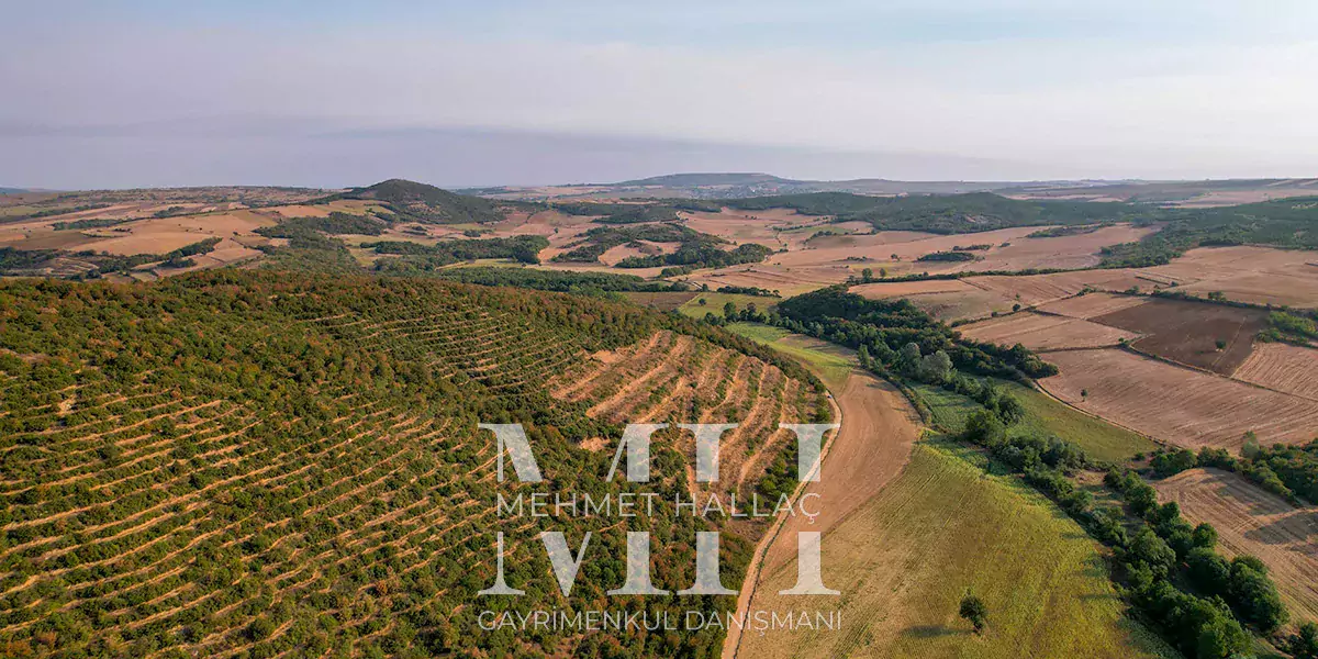 Tekirdağ Süleymanpaşa İnecik Mah. 21.930 m2 Tarla Tekirdağ Süleymanpaşa İnecik Mah. 21.930 m2 Tarla